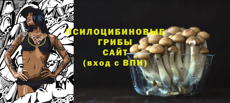 Галлюциногенные грибы Magic Shrooms Губкин